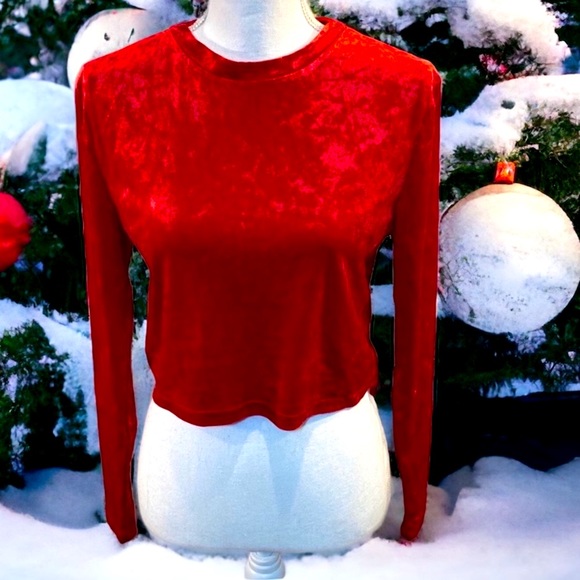H & M Divided Cropped Crushed Red Velvet Long Sleeve Mock Neck Shirt | Size Lg - Picture 2 of 7